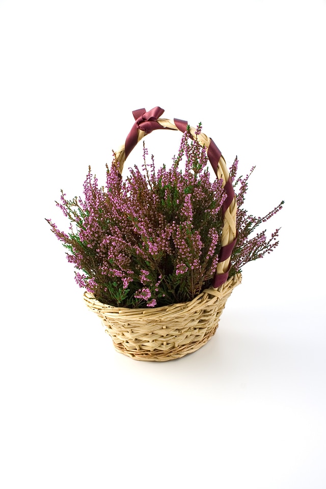 Baskets heath heather
