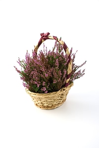 Baskets heath heather