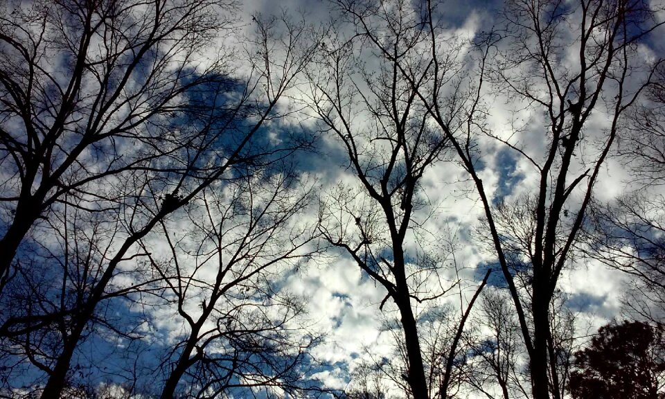 Sky nature silhouette