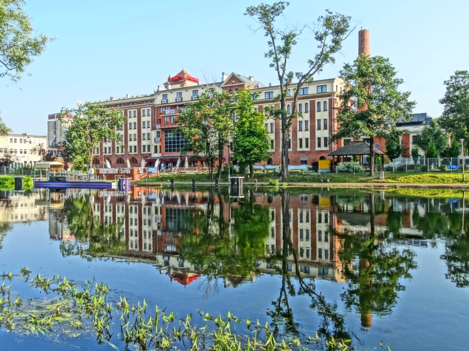 Waterfront lake water
