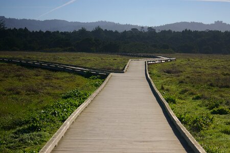 Fort bragg coast green