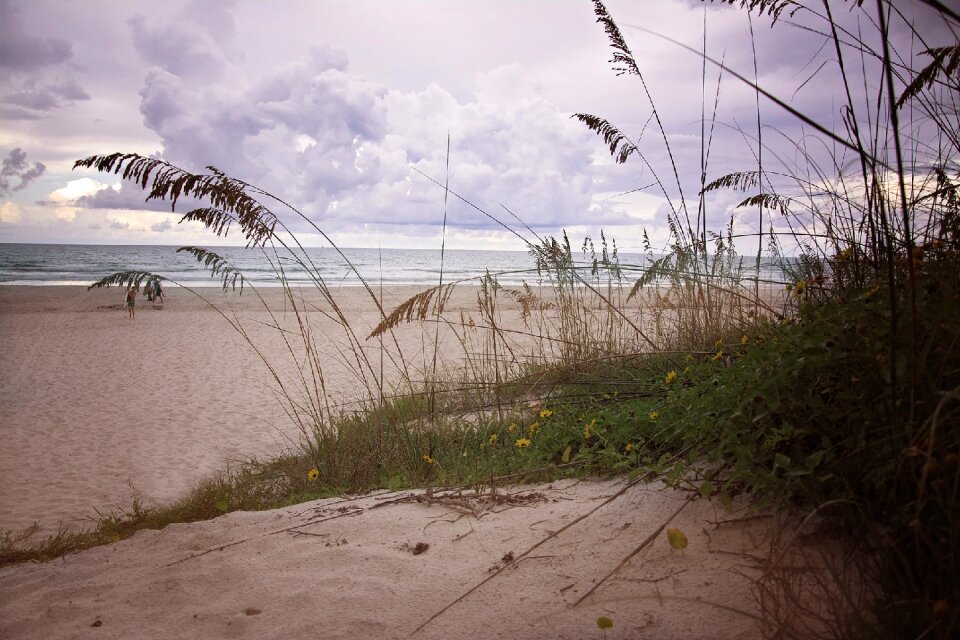 Ocean sea coast