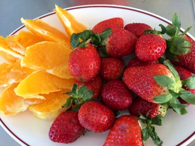 Food fruit paleo