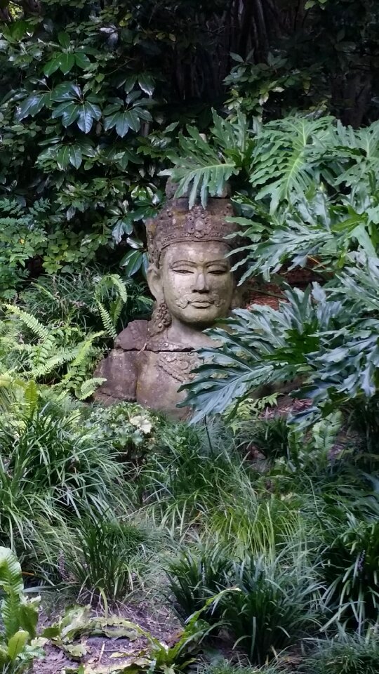 Stone pray serenity