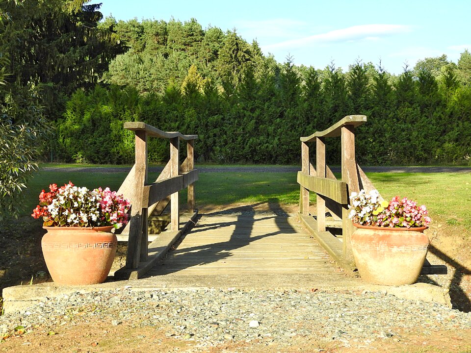 Bridge wooden bridge transition