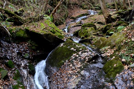 Nature styria creek
