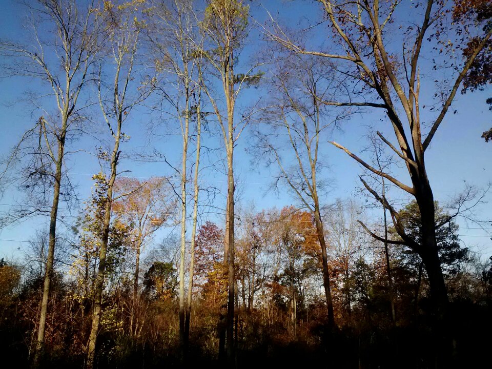 Horizon nature outdoors