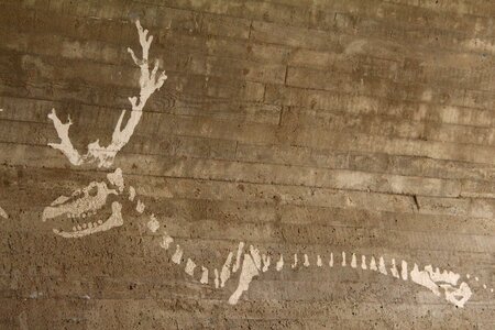 Reindeer graffiti
