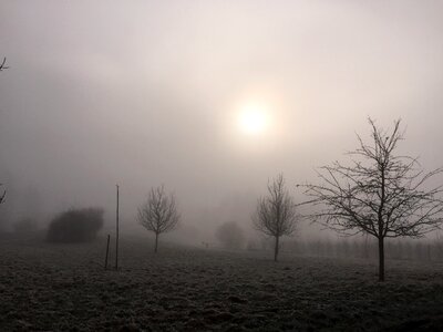 Winter fog nature