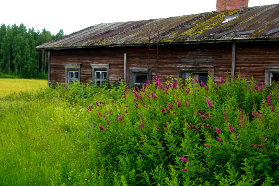 Farm architecture wooden house