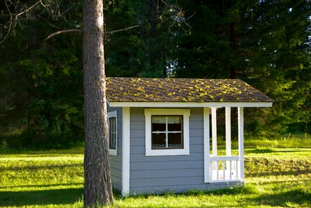 Finland chalet forest