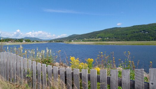 Bay nature landscape