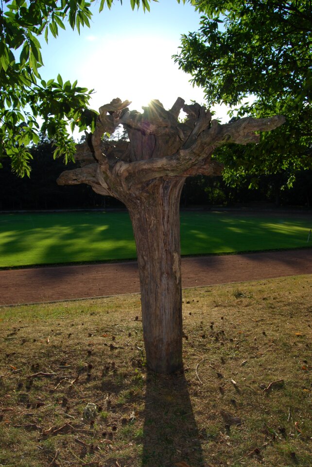 Conversely root kopfstand wood