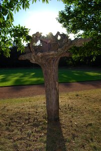 Conversely root kopfstand wood