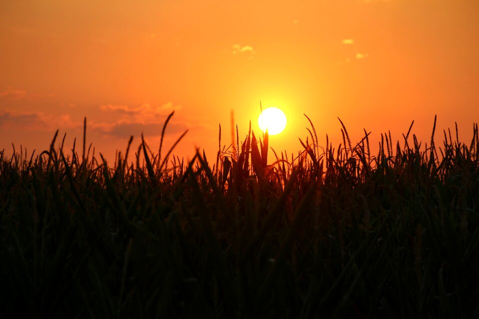 Setting sun dusk evening sky