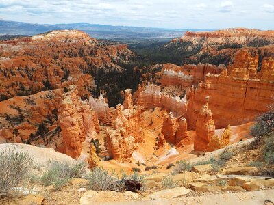 Forest bryce canyon photo