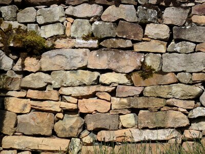 Nature wall sunlit wall busy wall photo