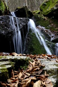 Nature styria creek