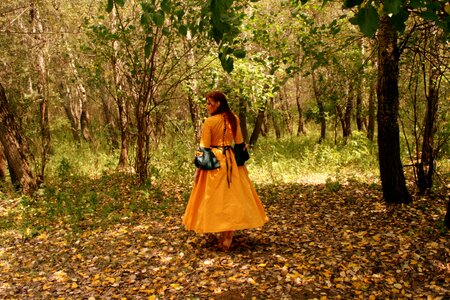Autumn leaves dress