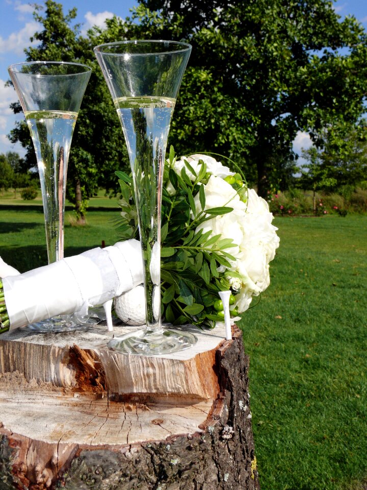 Blossom bloom bride