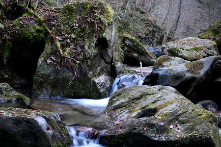 Nature styria creek