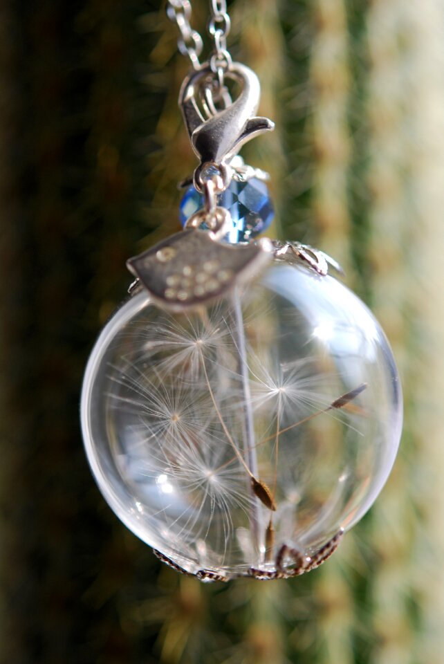 Trailers dandelion seeds