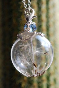 Trailers dandelion seeds