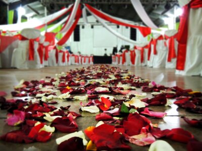 Wedding roses decoration photo