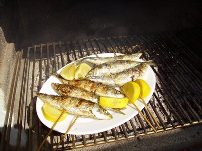 Seafish mediterranean grilled