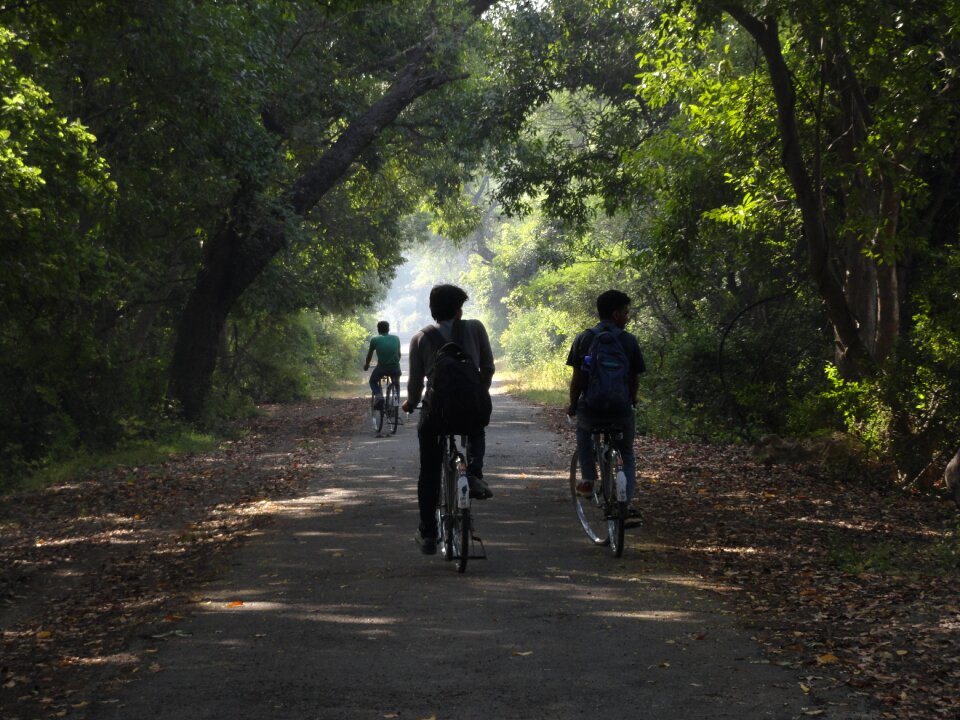Cycling beautiful love