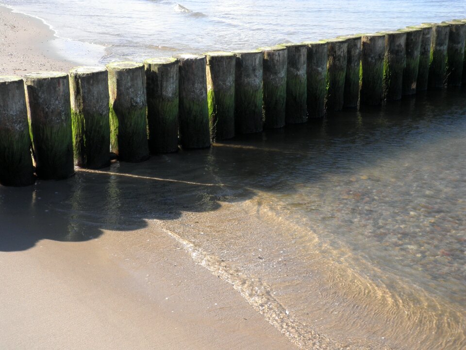Wooden posts island of usedom beach