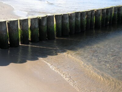 Wooden posts island of usedom beach