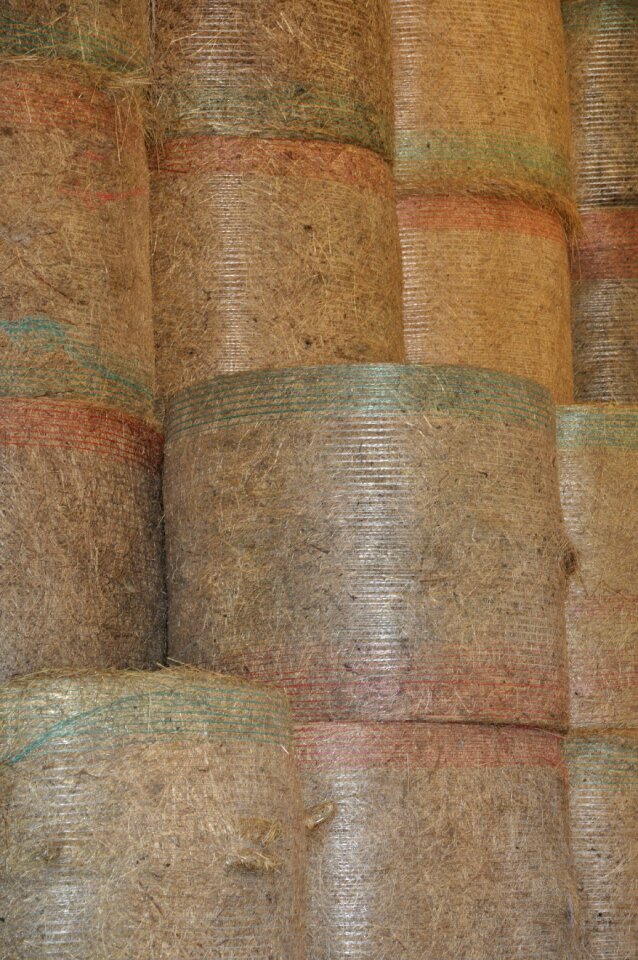 Hay bales agriculture field