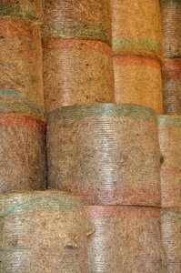 Hay bales agriculture field photo