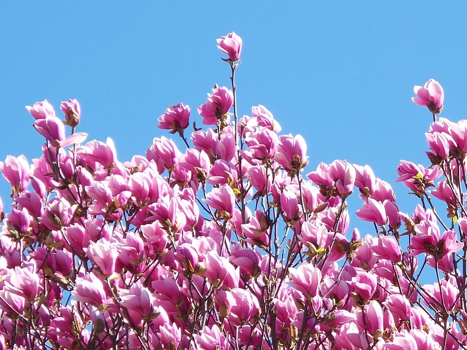 Colorful spring summer