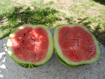 Ripe watermelon watermelon fruit