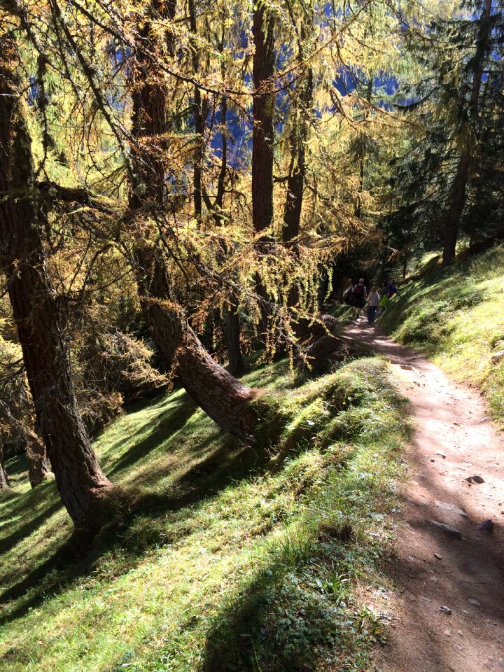 Nature mountain hiking alpine