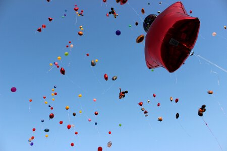 Air colorful fly