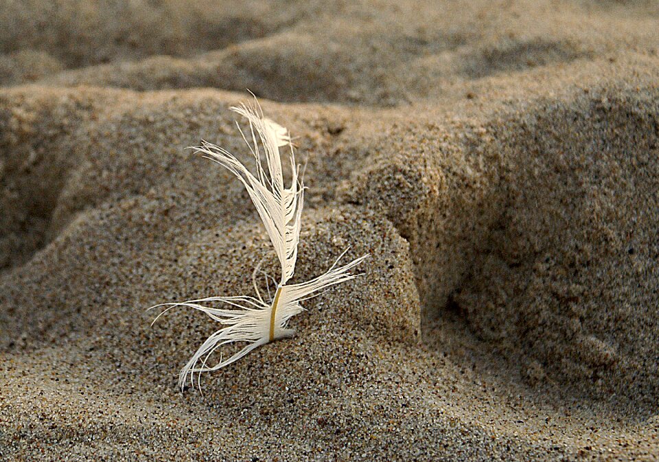 Beach traces invoice