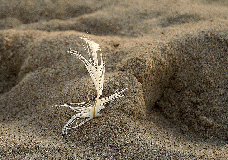 Beach traces invoice photo