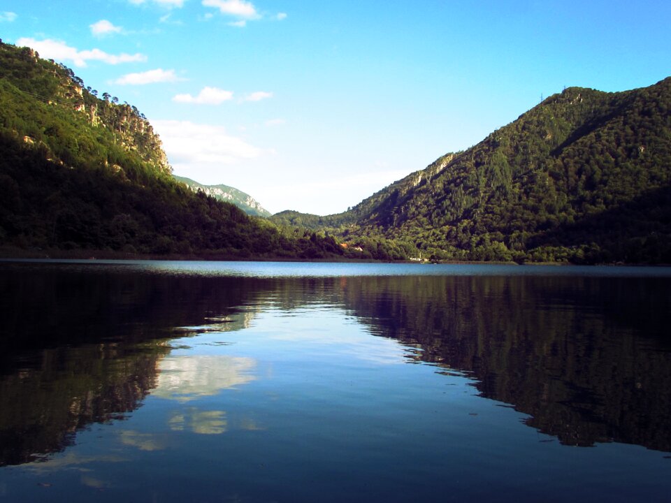 Landscape morning summer