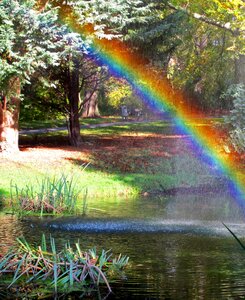 Nature cheerful natural spectacle