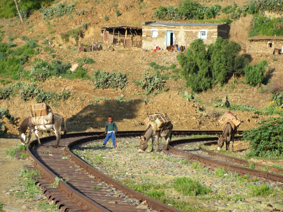 Italy tracks person