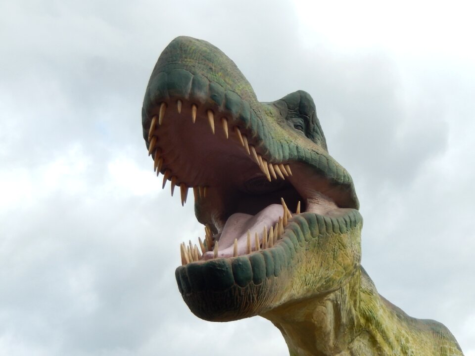 Dinosaur prehistory carnivore