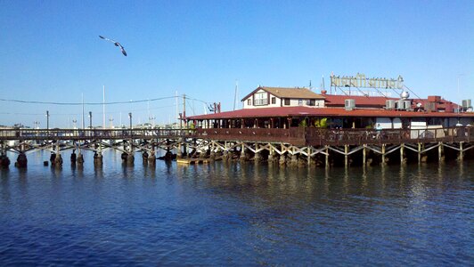 Florida pier photo