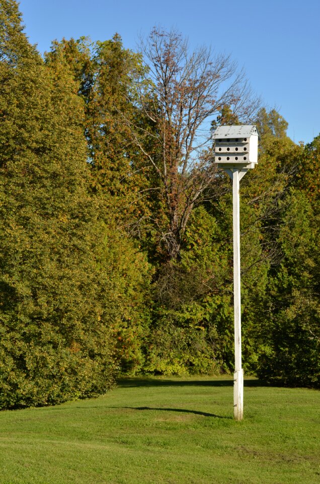 Rustic ornithology garden