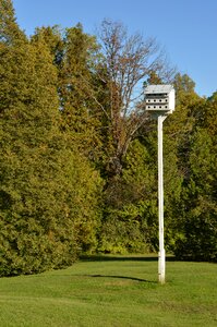 Rustic ornithology garden