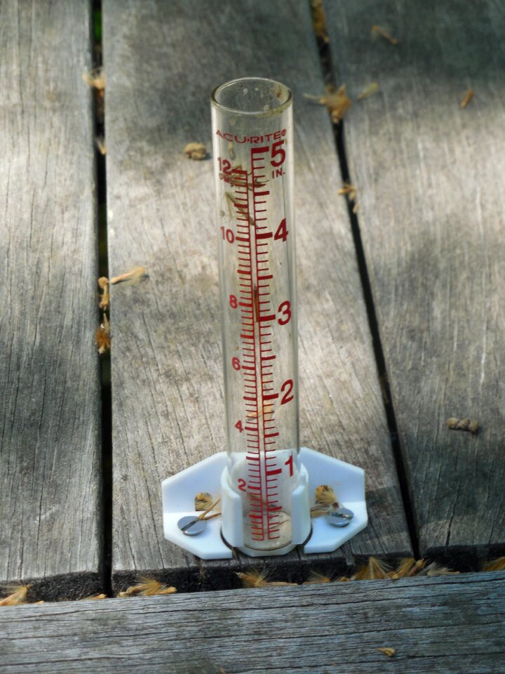 Gauge weather instrument