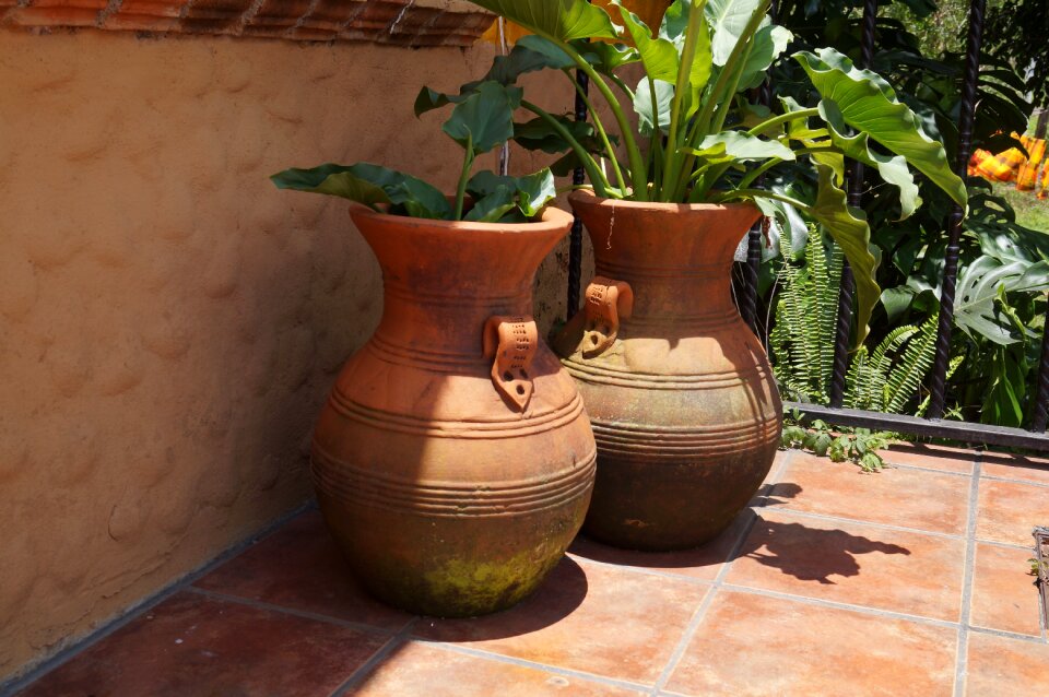 Garden estate mexico
