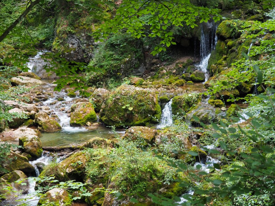 Nature waters hiking
